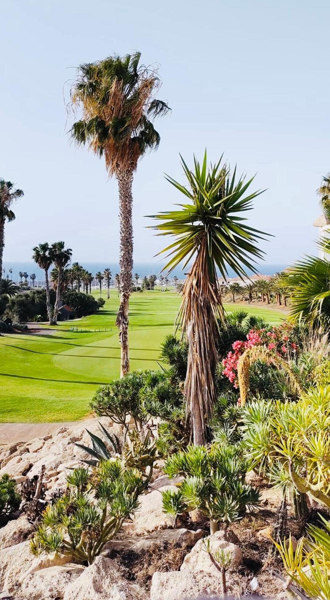 Apartmán Amarilla Golf San Miguel de Abona Exteriér fotografie